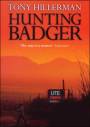 Hunting Badger