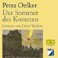 Der Sommer des Kometen